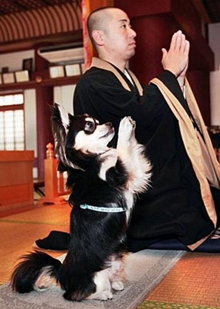 Only in Asia (145 pics)