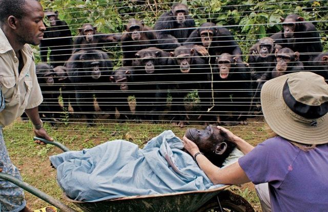 Daily picdump (111 pics)