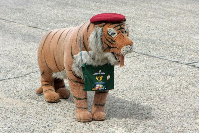 Daily picdump (111 pics)