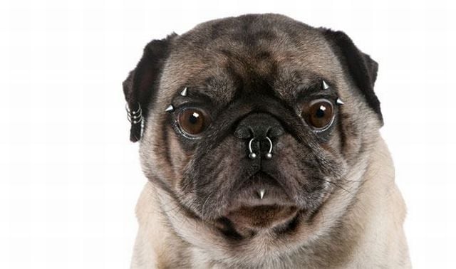 Daily picdump (111 pics)