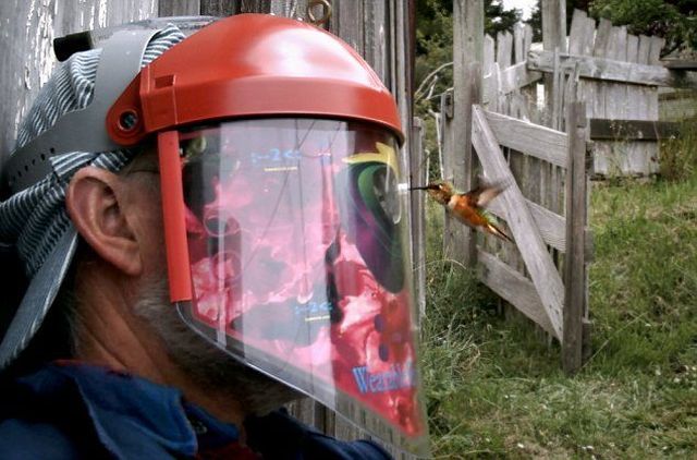 Daily picdump (127 pics)