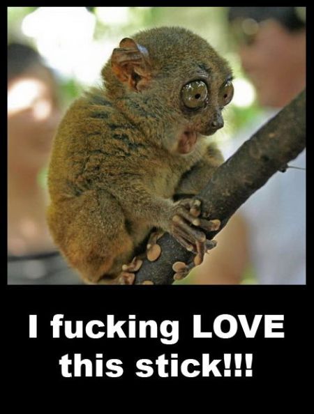 Daily picdump (127 pics)