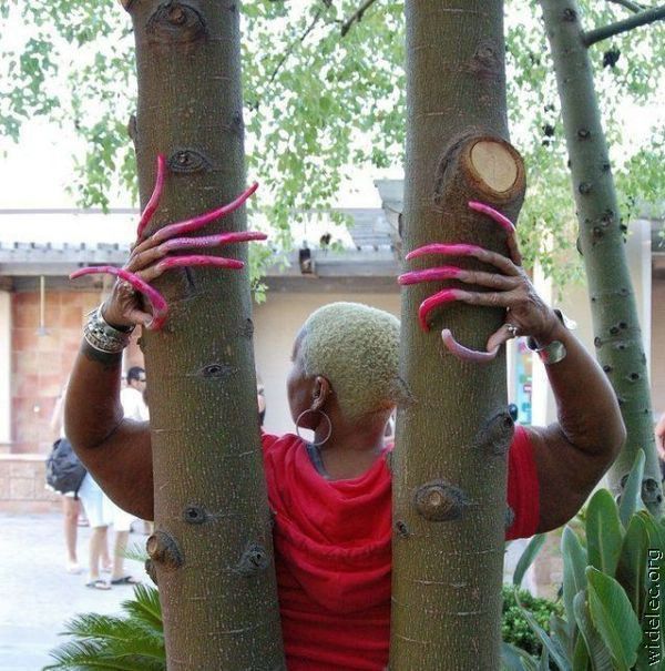 Freaks are around us. Part 2 (62 pics)