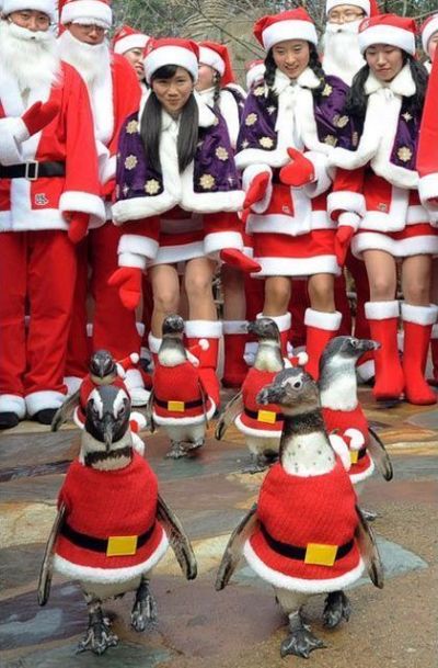 Daily picdump (154 pics)