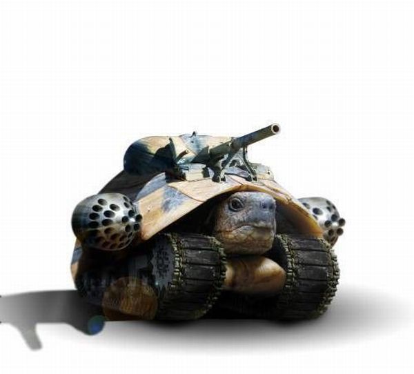 Daily picdump (154 pics)