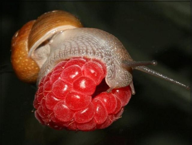 Daily picdump (115 pics)