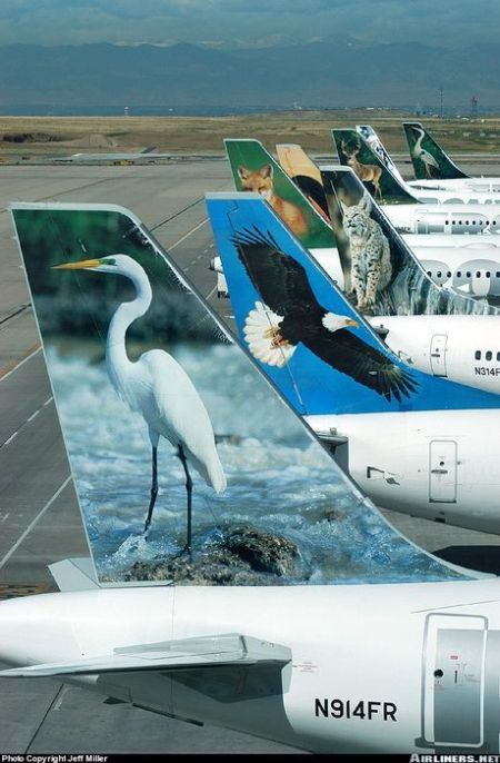 Daily picdump (197 pics)