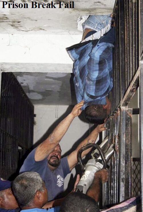 Daily picdump (120 pics)