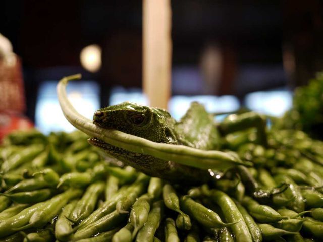 Daily picdump (120 pics)