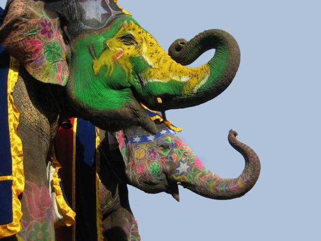 Daily picdump (120 pics)