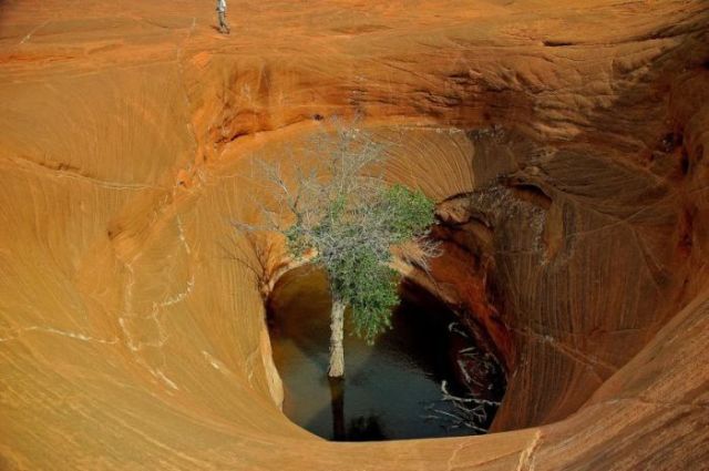 Daily picdump (120 pics)