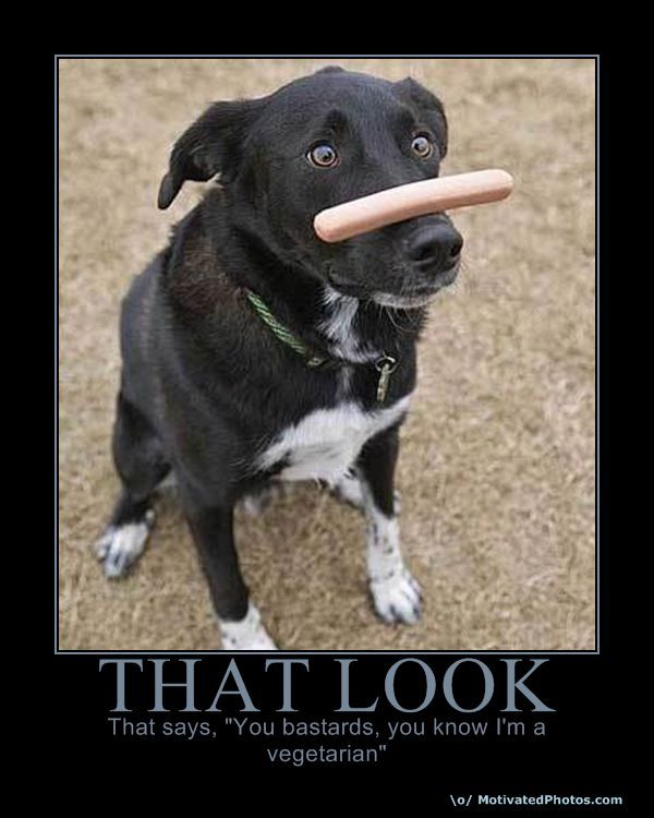 Funny Collection of Demotivational Posters. Part 3 (52 pics)