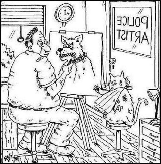 Daily picdump (92 pics)