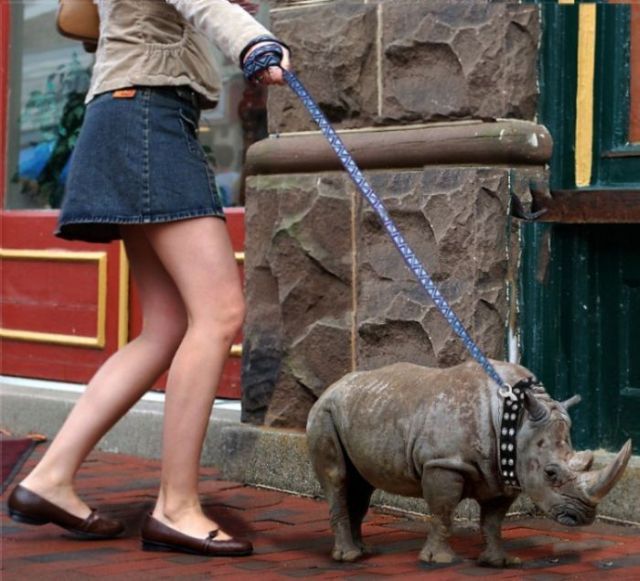 Daily picdump (154 pics)