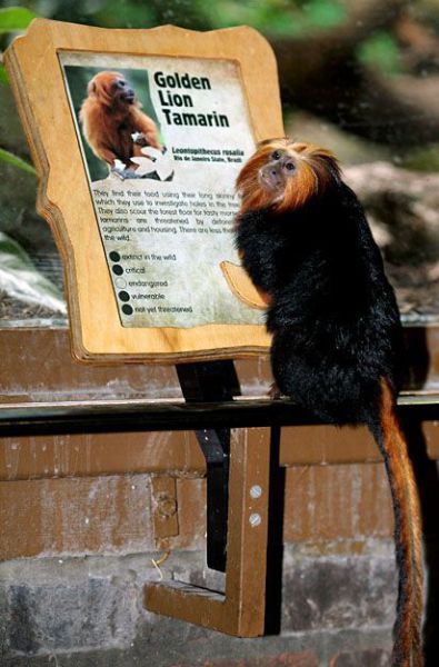 Daily picdump (154 pics)