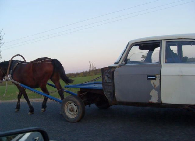 Daily picdump (127 pics)