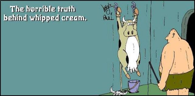 Daily picdump (127 pics)