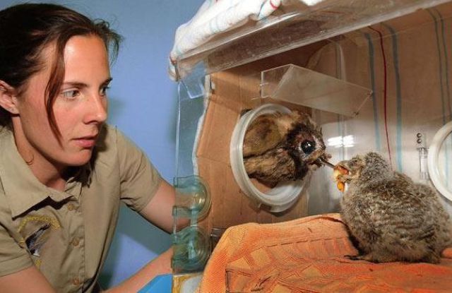 Daily picdump (127 pics)