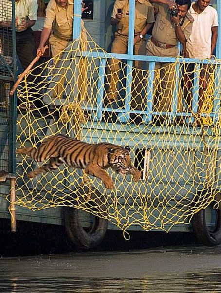 Daily picdump (127 pics)