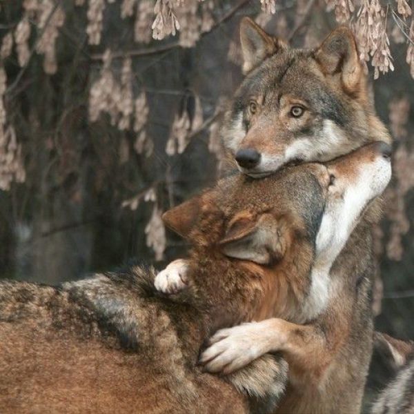 Daily picdump (133 pics)