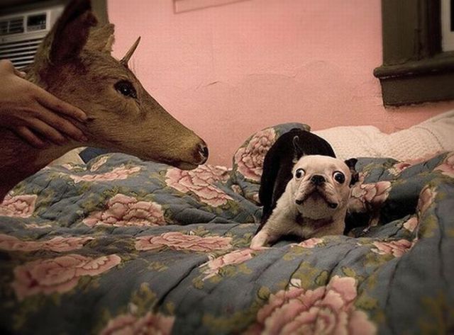 Daily picdump (133 pics)