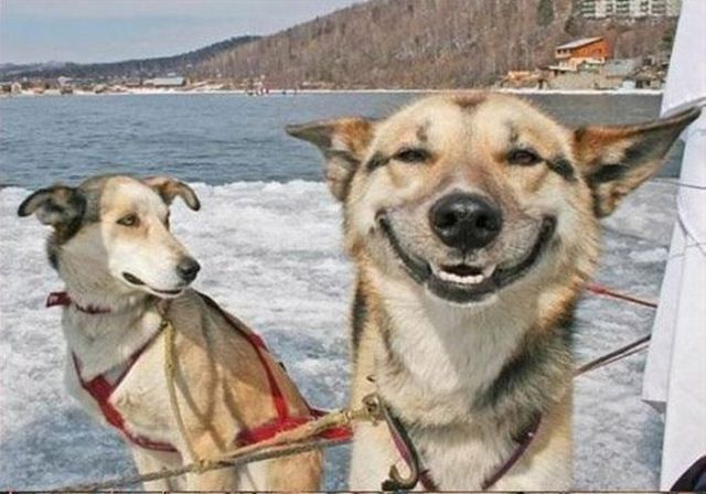 Daily picdump (133 pics)