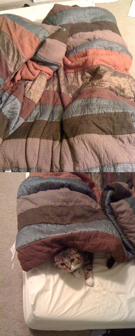 Daily picdump (133 pics)