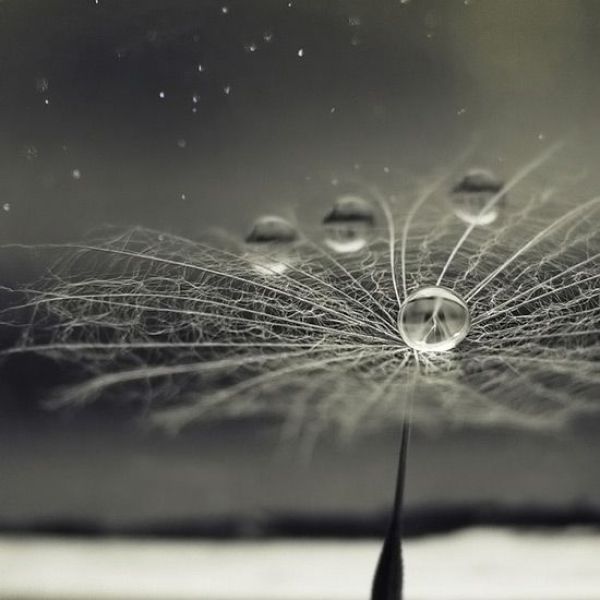 Real or Fake? Part 2 (45 pics)