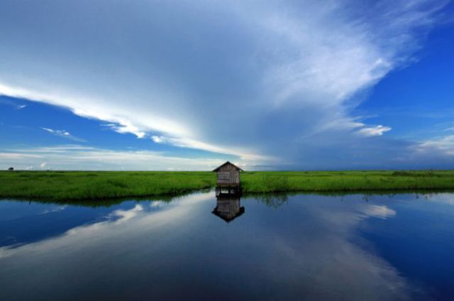 Real or Fake? Part 2 (45 pics)