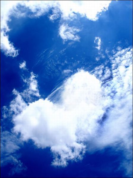 Real or Fake? Part 2 (45 pics)