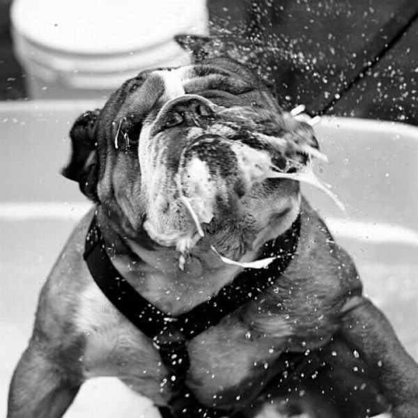 Daily picdump (128 pics)