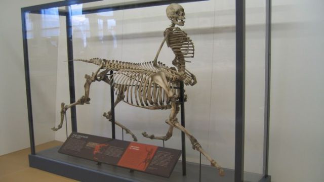 Daily picdump (128 pics)