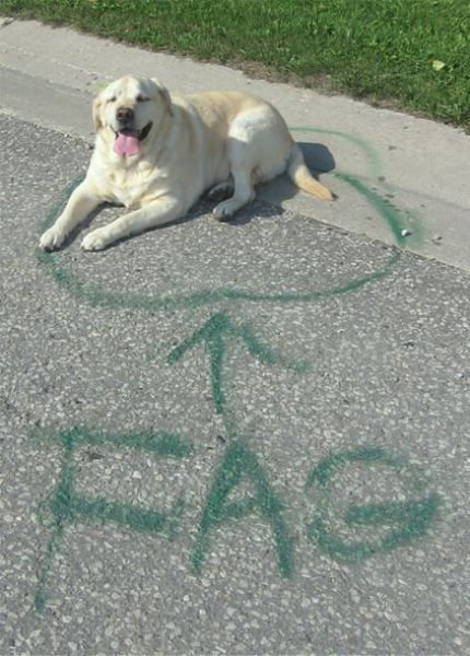 Daily picdump (128 pics)