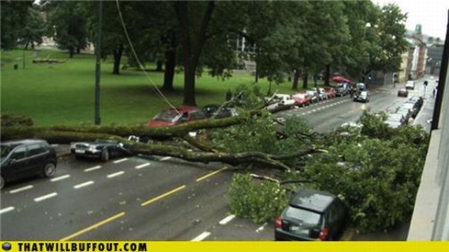 Cars in Hilarious and Weird Situations (83 pics)