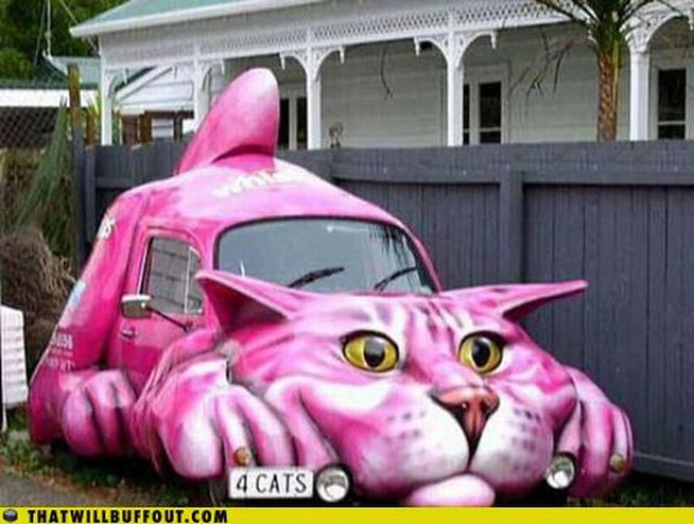 Cars in Hilarious and Weird Situations (83 pics)