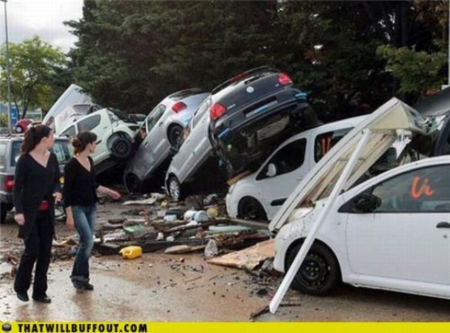 Cars in Hilarious and Weird Situations (83 pics)