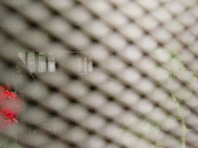 When Female Inmates Take Photos of Their Life in Prison (65 pics) When Female Inmates Take Photos of Their Life in Prison (65 pics)