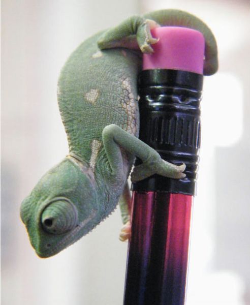 Daily picdump (124 pics)