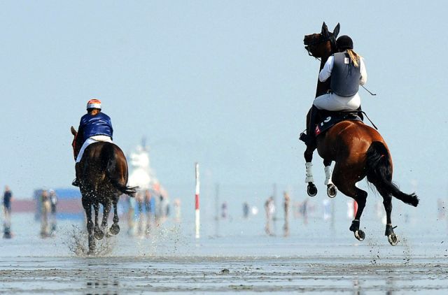 Daily picdump (146 pics)