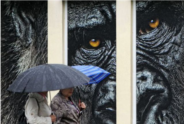 Daily picdump (146 pics)