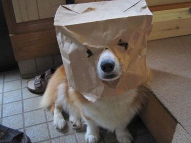 Daily picdump (115 pics)