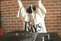 Funny Gif Collection (33 gifs)