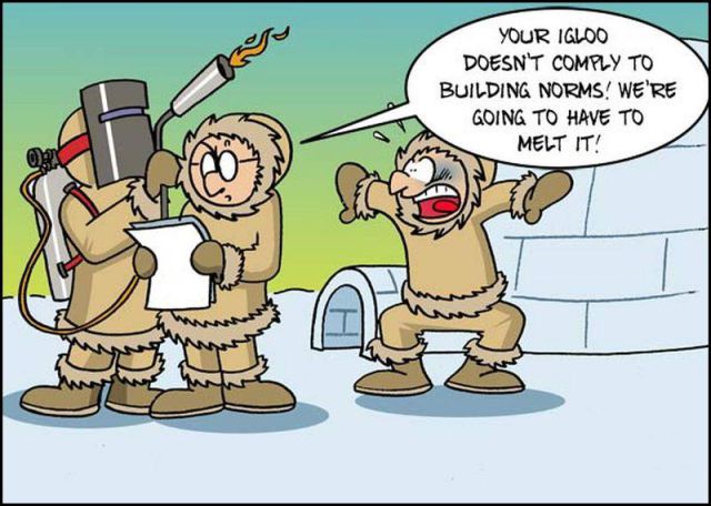 New Funny Collection of Cartoons