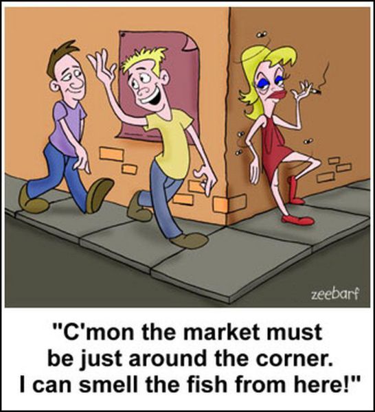 New Funny Collection of Cartoons