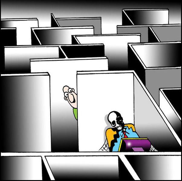 New Funny Collection of Cartoons