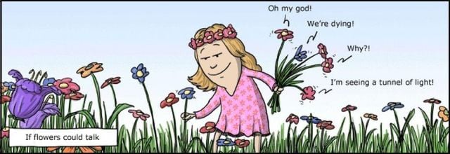 New Funny Collection of Cartoons