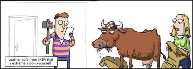 New Funny Collection of Cartoons