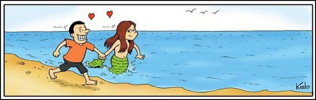 New Funny Collection of Cartoons