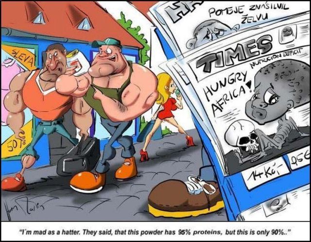 New Funny Collection of Cartoons