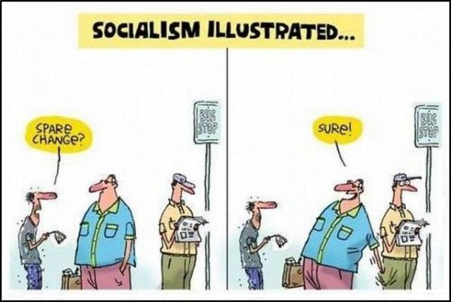 New Funny Collection of Cartoons